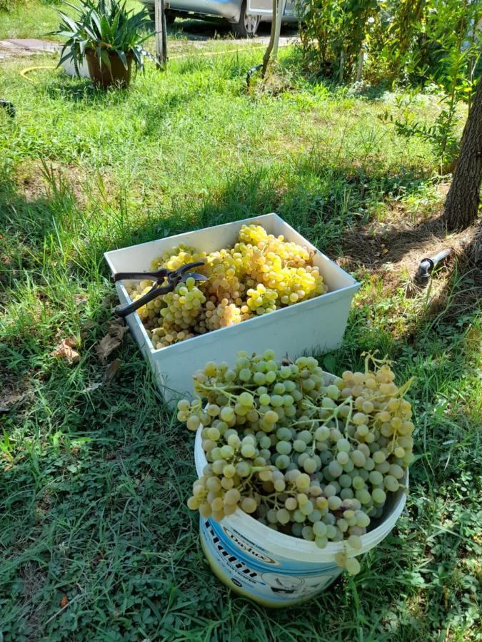 Chateau Sukaj Ljaknasi 外观 照片