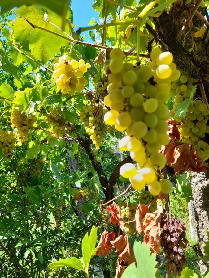 Chateau Sukaj Ljaknasi 外观 照片